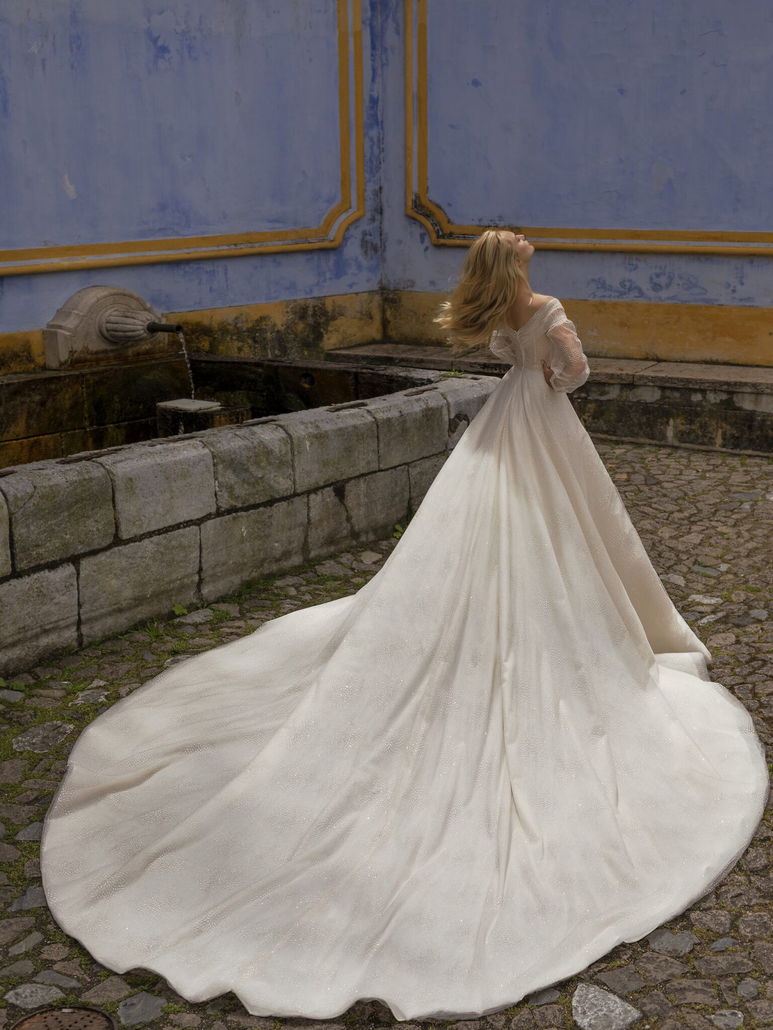 Vback wedding dress «Spell» WONA