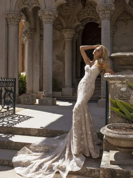 イケヴィラ サイショ ヴィクトル 72個セット weddinglily 公式