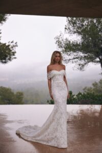 Tevy - image 3
